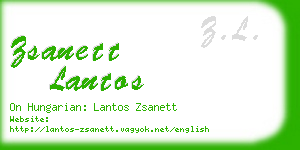 zsanett lantos business card